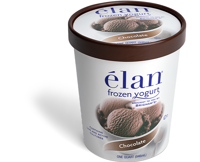 elan Chocolate Frozen Yogurt