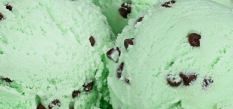 Brigham's Mint Chocolate Chip Ice Cream