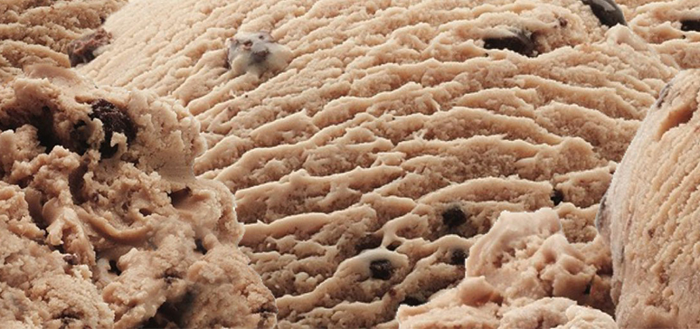 Brigham's Mocha Chip Ice Cream