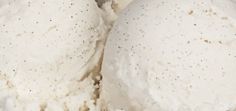 Brigham's Vanilla Bean Ice Cream