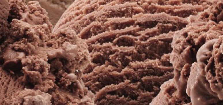 Brigham's Chocolate Ice Cream
