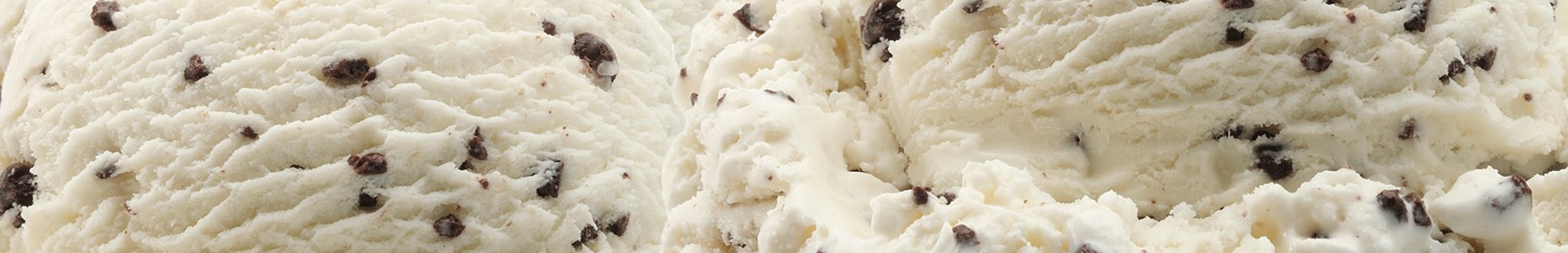 Brigham's Chocolate Chip Ice Cream