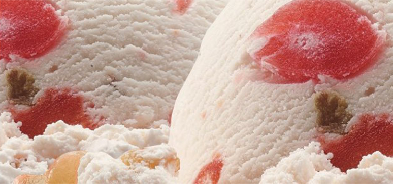 Brigham's Frozen Pudding Ice Cream