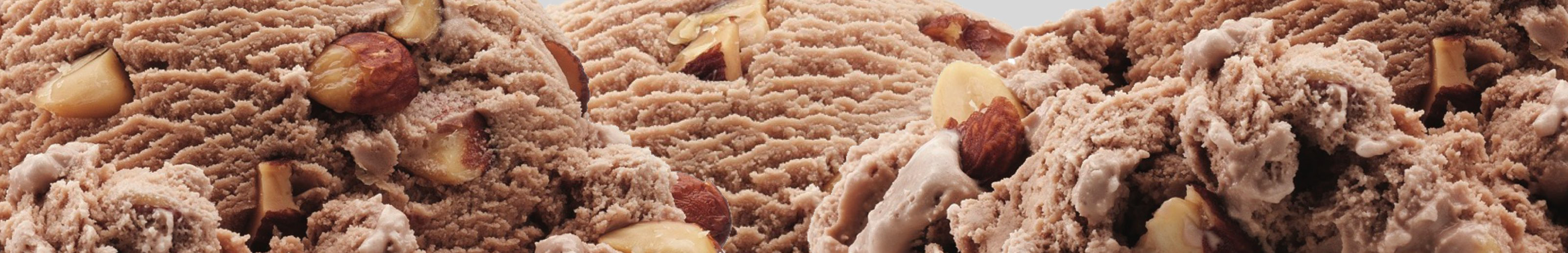 Brigham's Mocha Almond Ice Cream
