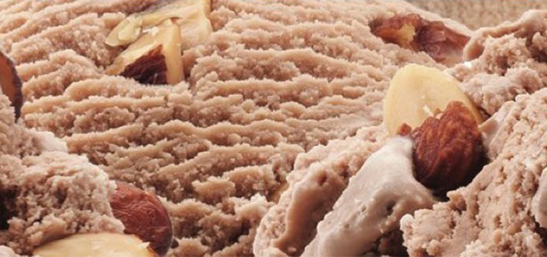 Brigham's Mocha Almond Ice Cream